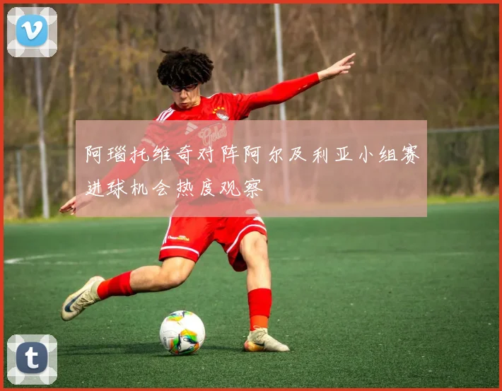 阿瑙托维奇对阵阿尔及利亚小组赛进球机会热度观察