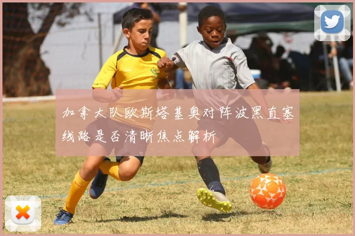 加拿大队欧斯塔基奥对阵波黑直塞线路是否清晰焦点解析
